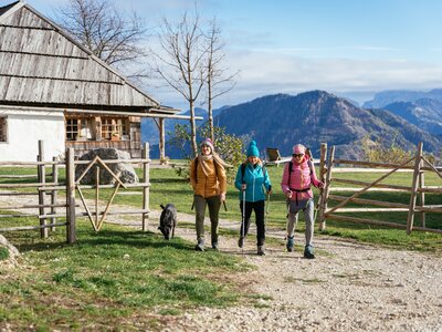 Freundinnen machen eine Wanderung von der Almhütte weg | © Urlaub am Bauernhof Kärnten/ Daniel Gollner