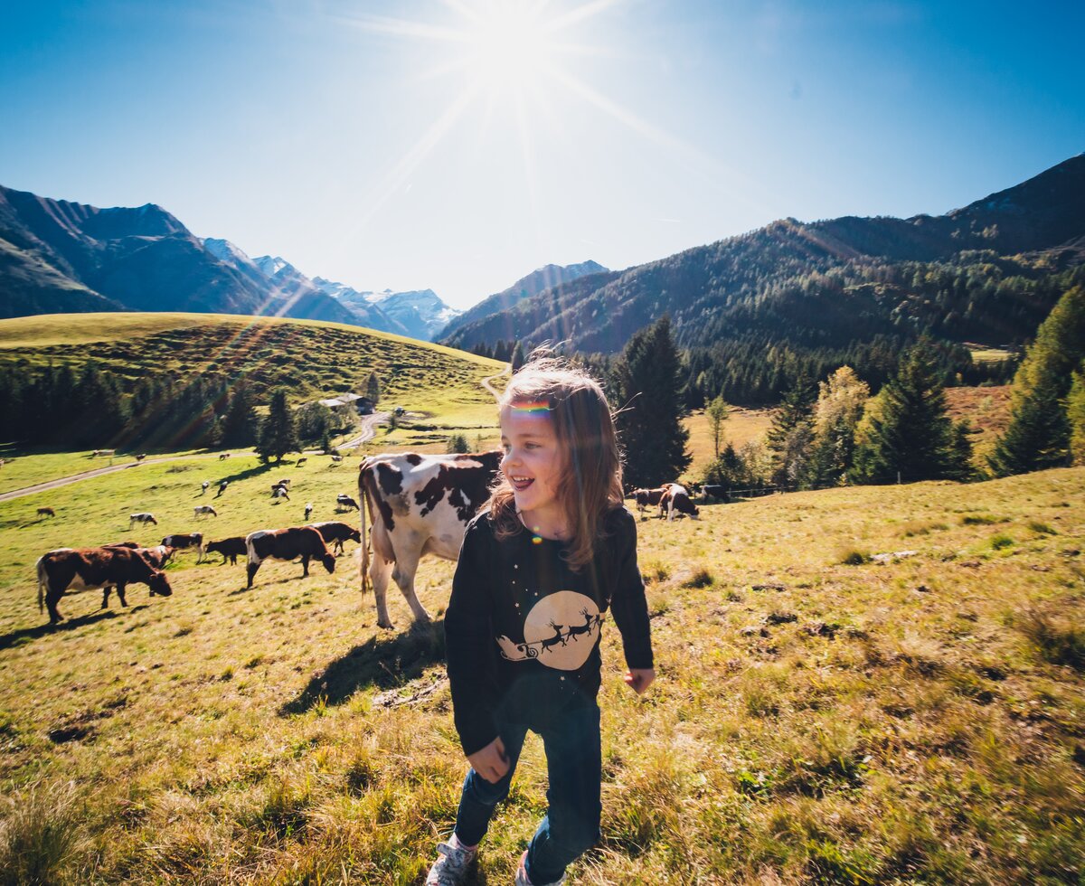 Mädchen auf der Kuhweide | © Urlaub am Bauernhof Salzburg / Daniel Gollner Mädchen ist auf der Alm in Salzburg unterwegs | © Urlaub am Bauernhof Salzburg / Daniel Gollner