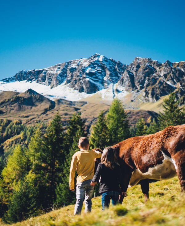 Kinder auf der Kuhweide | © Urlaub am Bauernhof Salzburg / Daniel Gollner 