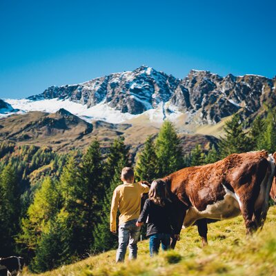 Kinder auf der Kuhweide | © Urlaub am Bauernhof Salzburg / Daniel Gollner 