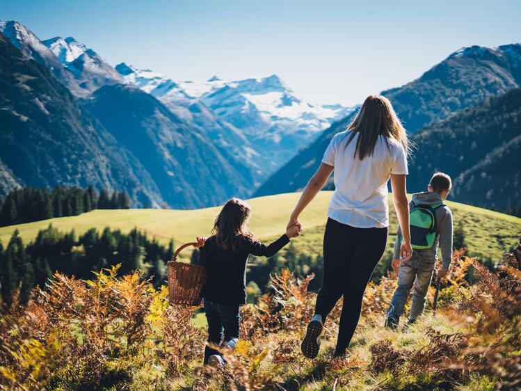 Mutter mit Kind an der Hand spaziert auf der Alm | © Urlaub am Bauernhof Salzburg / Daniel Gollner 