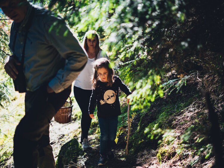 Personen spazieren im Wald  | © Urlaub am Bauernhof Salzburg / Daniel Gollner 