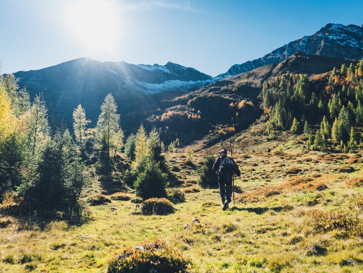 Jäger wandert am Berg der Sonne entgegen  | © Urlaub am Bauernhof Salzburg / Daniel Gollner 