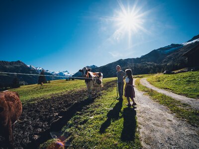 Kinder bei den Kühen auf der Alm | © Urlaub am Bauernhof Salzburg / Daniel Gollner Zwei Kinder stehen vor der Kuhweide auf der Alm | © Urlaub am Bauernhof Salzburg / Daniel Gollner