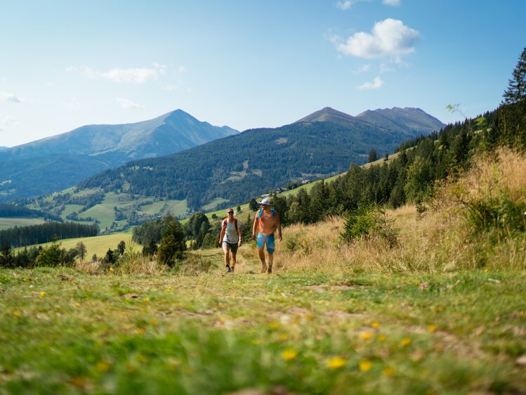 Zwei Wander eingebettet in die grünen Hügel der umgebenden Landschaft | © Urlaub am Bauernhof Steiermark / Daniel Gollner 