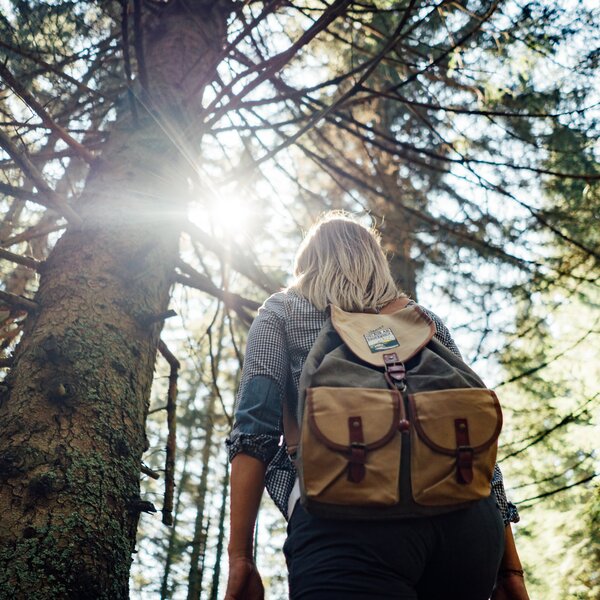 Eine Person mit Rucksack steht zwischen Bäumen und Sonnenstrahlen durchbrechen den Wald, eine friedliche Szene in der Natur. | © Urlaub am Bauernhof Steiermark / Daniel Gollner 
