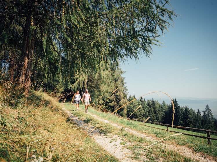 Ein Paar geht Hand in Hand den Weg entlang | © Urlaub am Bauernhof Steiermark / Daniel Gollner 