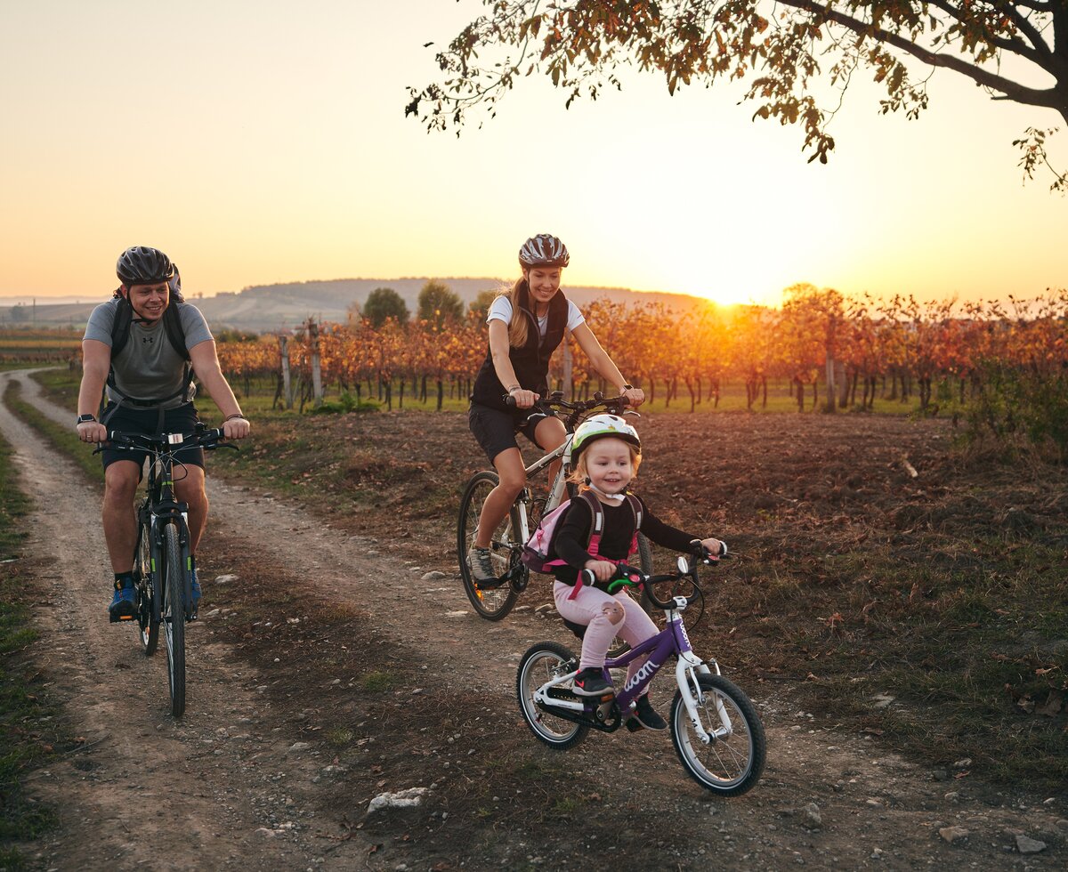 Radeln mit Sonne drin | © Burgenland Tourismus GmbH / Thomas Schmid Radeln mit Sonne drin | © Burgenland Tourismus GmbH / Thomas Schmid