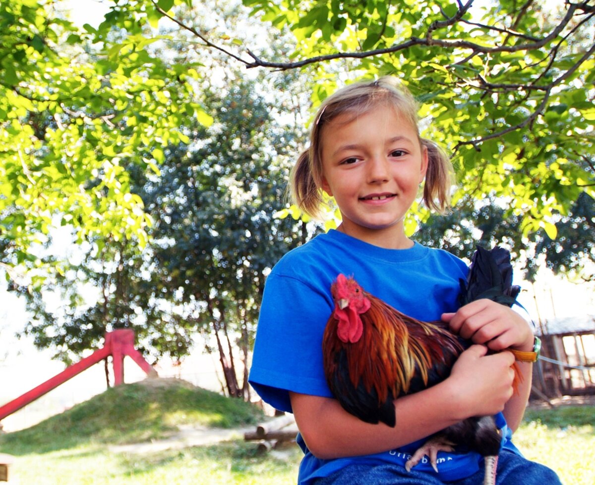 Mädchen mit Huhn im Arm | © Urlaub am Bauernhof Burgenland / Steve Haider Mädchen mit Huhn im Arm im Garten | © Urlaub am Bauernhof Burgenland / Steve Haider