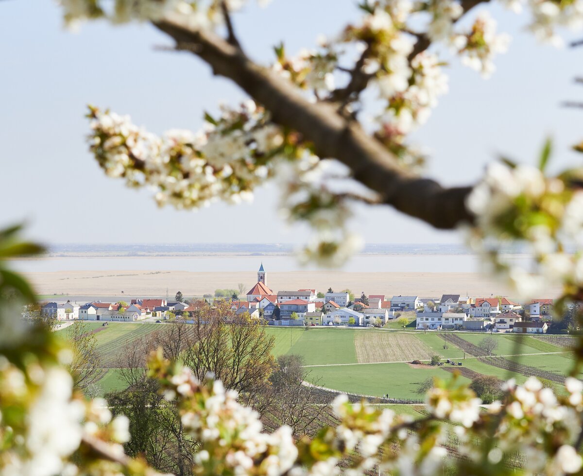 © Burgenland Tourismus GmbH / Peter Podpera