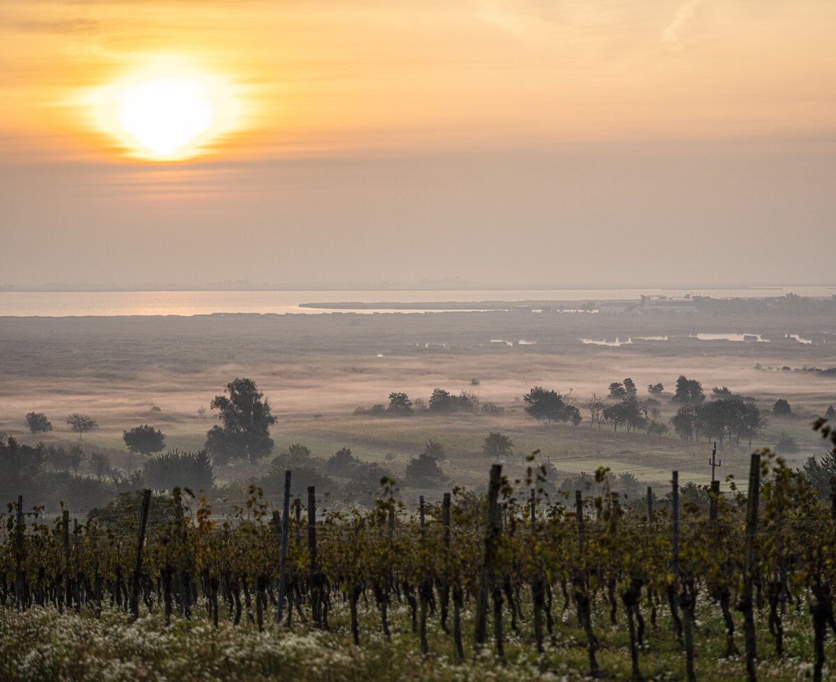 © Burgenland Tourismus GmbH / Birgit Machtinger