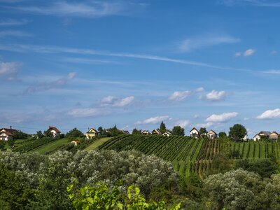 © Burgenland Tourismus GmbH / Birgit Machtinger © Burgenland Tourismus GmbH / Birgit Machtinger