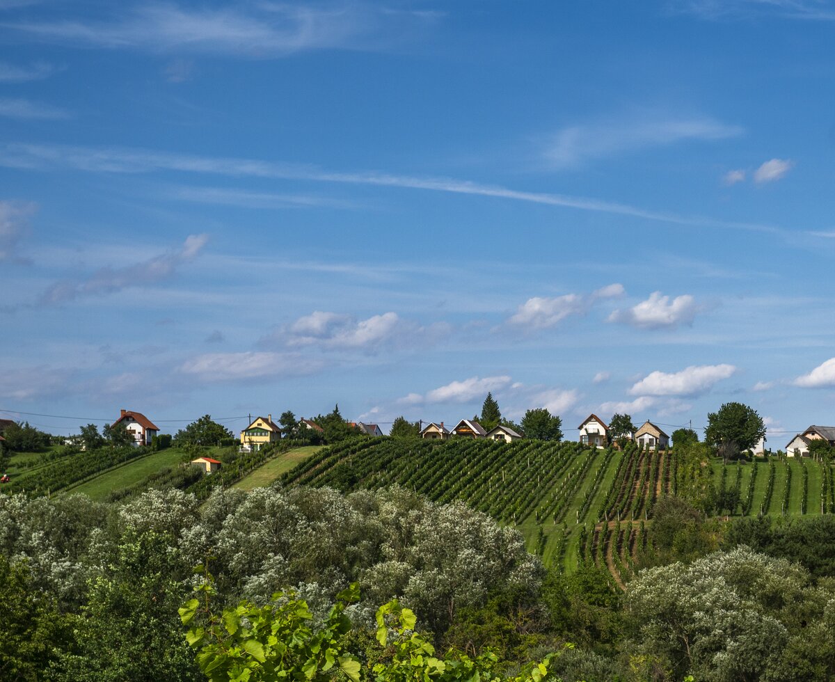 © Burgenland Tourismus GmbH / Birgit Machtinger