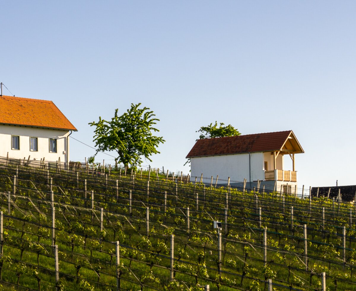 Kellerstöckl im Südburgenland | © Urlaub am Bauernhof Burgenland / Sarah Unger Kellerstöckl im Südburgenland | © Urlaub am Bauernhof Burgenland / Sarah Unger