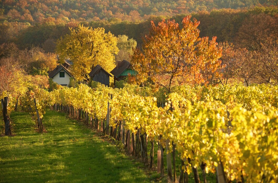 © Burgenland Tourismus GmbH / Guenther Ippsich