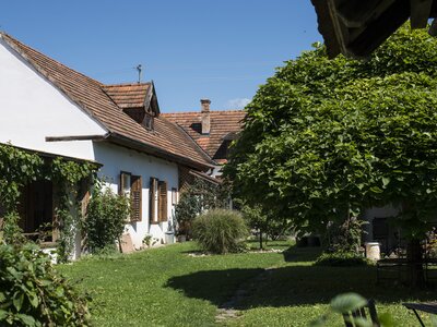 Bauernhaus im Süburgenland | © Urlaub am Bauernhof Burgenland / Melanie Limbeck Bauernhaus im Südburgenland | © Urlaub am Bauernhof Burgenland / Melanie Limbeck