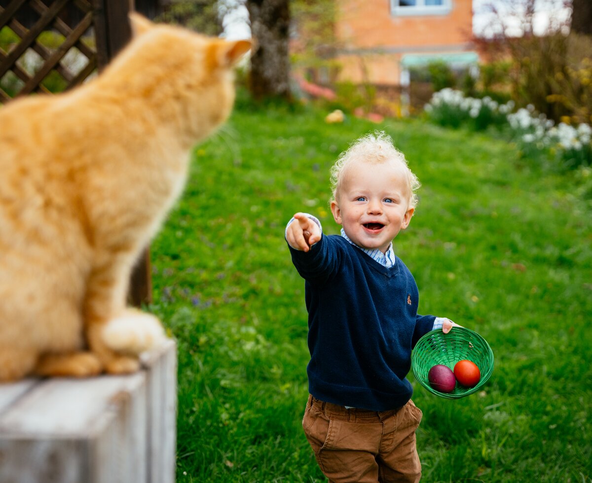 Kleiner Bub zeigt auf eine Katze mit Osterei in der Hand | © Urlaub am Bauernhof / Daniel Gollner
