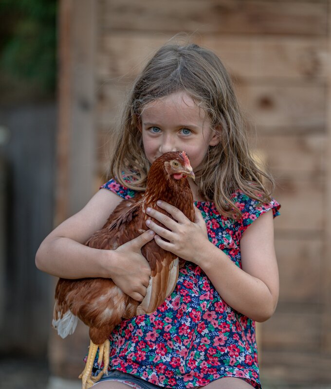 Mädchen hält das Huhn am Arm | © Urlaub am Bauernhof Kärnten/ Achim Mandler