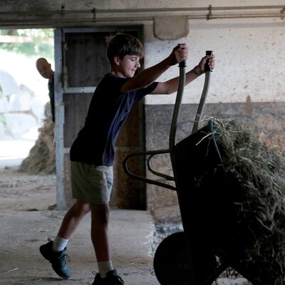 A boy is pushing a wheelbarrow loaded with hay in a barn.