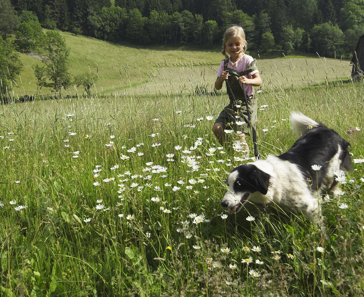 Mädchen läuft auf der Blumenwiese mit dem Hund | © Urlaub am Bauernhof Kärnten / Ernst Prokop