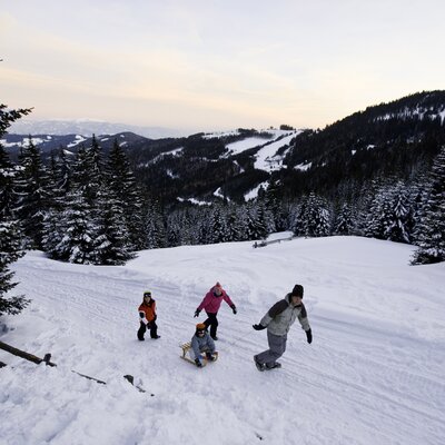 Familie rodelt auf der Alm | © Tom Lamm