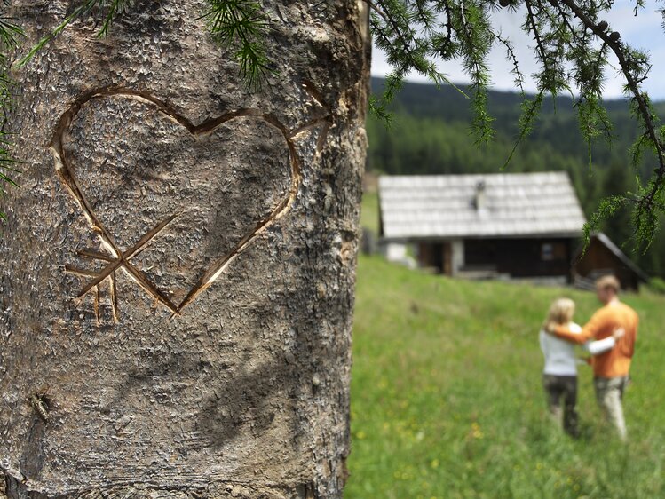 Geschnitztes Herz im Baum | © Urlaub am Bauernhof Kärnten / Tom Lamm
