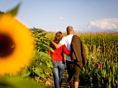 Paar spaziert am Weg | © Urlaub am Bauernhof Kärnten / Tom Lamm Paar spaziert am Weg durch die Sonnenblumen | © Urlaub am Bauernhof Kärnten / Tom Lamm