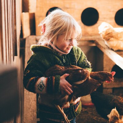 Mädchen hält Huhn in der Hand im Hühnerstall | © Urlaub am Bauernhof Kärnten / Daniel Gollner