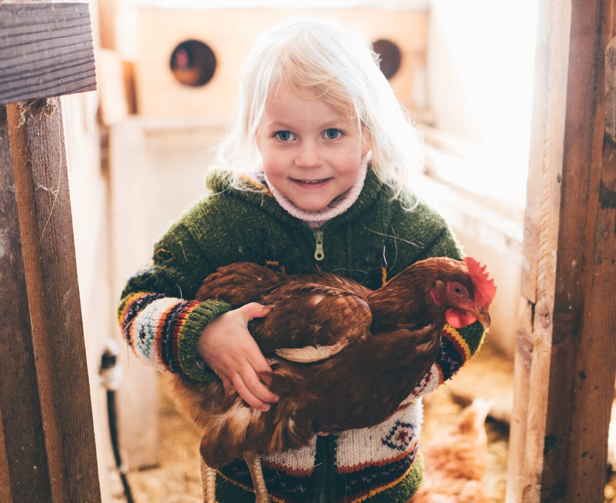 Mädchen mit Huhn | © Urlaub am Bauernhof Kärnten / Daniel Gollner Mädchen hält Huhn in der Hand | © Urlaub am Bauernhof Kärnten / Daniel Gollner