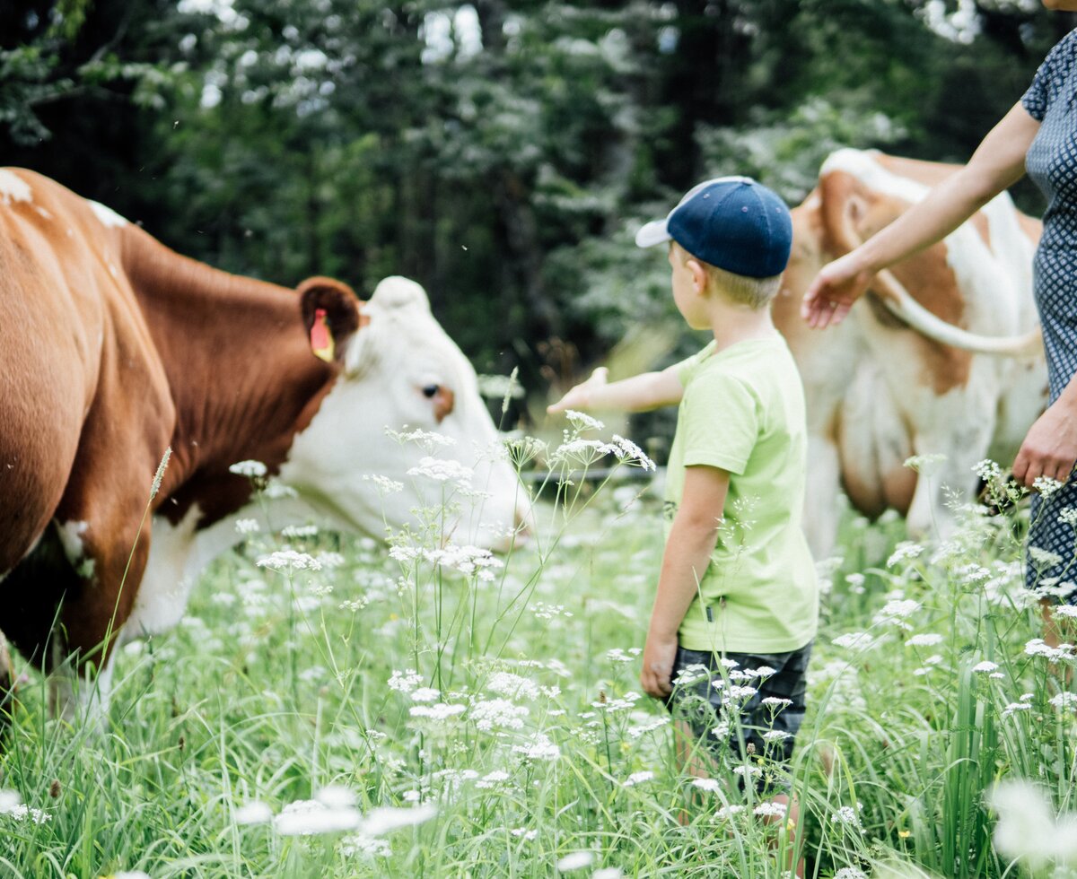 Frau und Kind bei der Kuh auf der Wiese | © Urlaub am Bauernhof Kärnten / Daniel Gollner