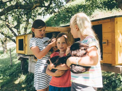 Kinder mit Hasen | © Urlaub am Bauernhof Kärnten / Daniel Gollner Kinder halten Hasen bei Hasenstall | © Urlaub am Bauernhof Kärnten / Daniel Gollner