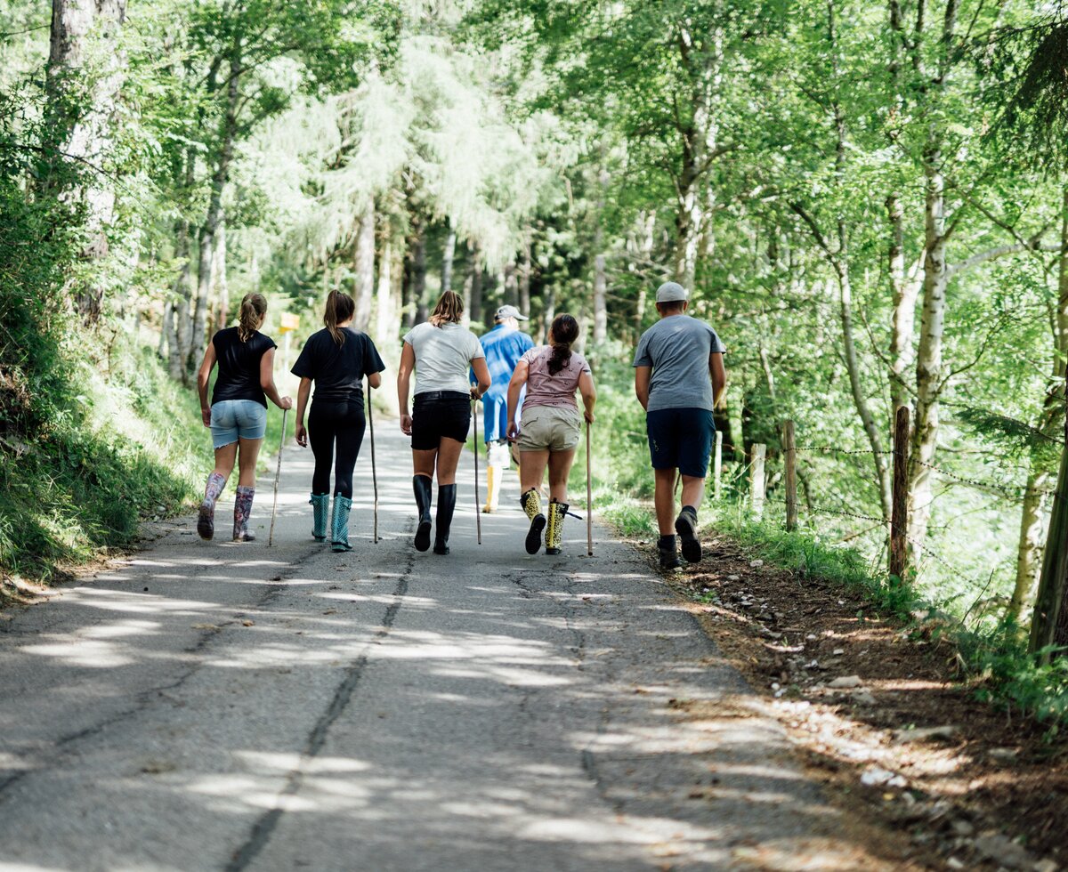 Familie spaziert im Wald | © Urlaub am Bauernhof Kärnten / Daniel Gollner Familie spaziert mit Wanderstöcke im Wald | © Urlaub am Bauernhof Kärnten / Daniel Gollner