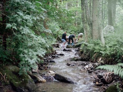 Menschen im Bach | © Urlaub am Bauernhof Kärnten / Daniel Gollner