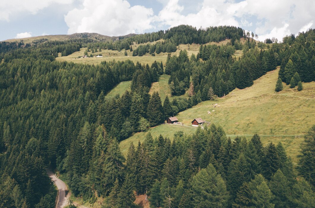Landschaft mit Bäumen und Hütten | © Urlaub am Bauernhof Kärnten / Daniel Gollner