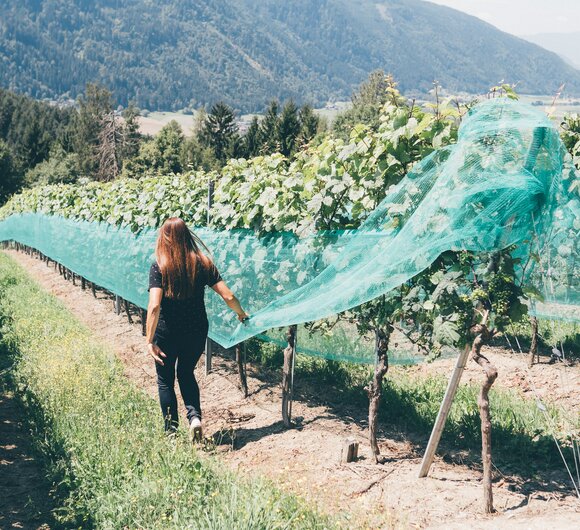 Frau im Weingarten | © Urlaub am Bauernhof Kärnten / Daniel Gollner