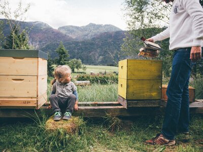 Mädchen sitzt zwischen den Bienenstöcken | © Urlaub am Bauernhof Kärnten/ Daniel Gollner
