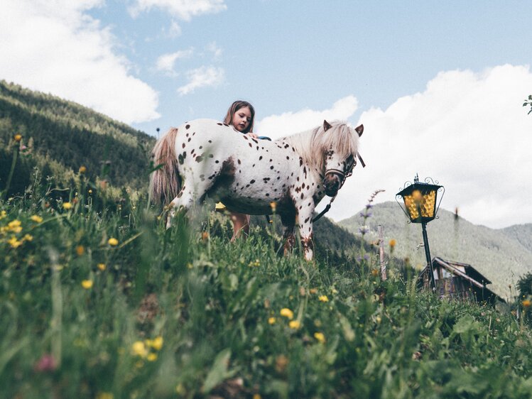 Kind und Pony auf der Wiese | © Urlaub am Bauernhof Kärnten / Daniel Gollner