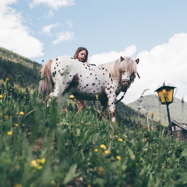 Kind und Pony auf der Wiese | © Urlaub am Bauernhof Kärnten / Daniel Gollner