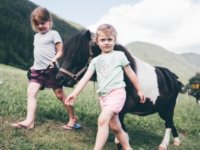 Kinder führen das Pony | © Urlaub am Bauernhof Kärnten/ Daniel Gollner Kinder führen das Pony auf der Wiese | © Urlaub am Bauernhof Kärnten/ Daniel Gollner