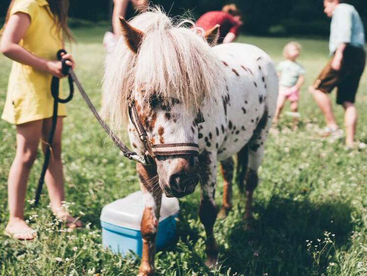 Pony auf der Wiese mit Kindern | © Urlaub am Bauernhof Kärnten / Daniel Gollner