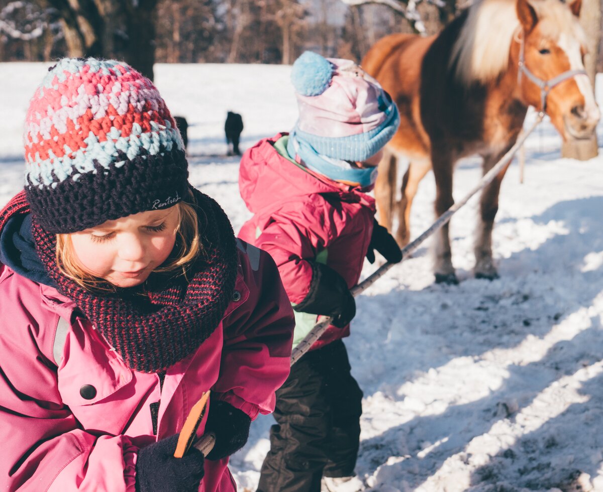 Kinder führen das Pferd | © Urlaub am Bauernhof Kärnten/ Daniel Gollner Kinder führen das Pferd | © Urlaub am Bauernhof Kärnten/ Daniel Gollner
