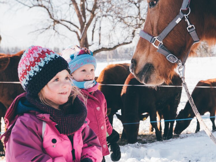 Kinder schauen zum Pferd | © Urlaub am Bauernhof Kärnten/ Daniel Gollner