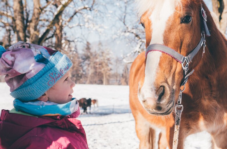 Mädchen schaut zum Pferd | © Urlaub am Bauernhof Kärnten / Daniel Gollner