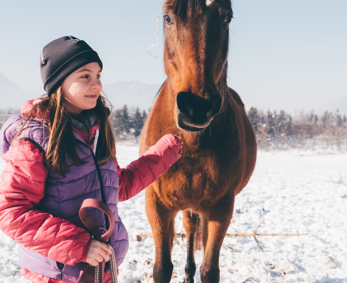 Mädchen steht vor dem Pferd | © Urlaub am Bauernhof Kärnten/ Daniel Gollner