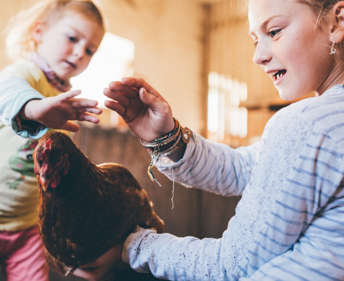 Mädchen streicheln das Huhn im Stall | © Urlaub am Bauernhof Kärnten / Daniel Gollner