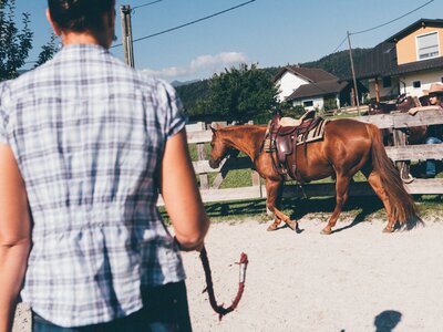 Frau und Pferd im Viereck | © Urlaub am Bauernhof Kärnten / Daniel Gollner