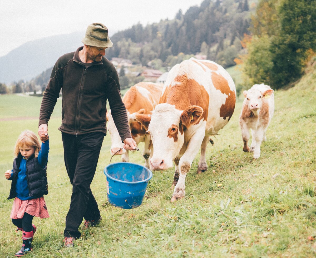 Bauer und Mädchen gehen mit den Kühen auf der Wiese | © Urlaub am Bauernhof Kärnten / Daniel Gollner
