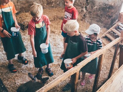Kinder im Stall | © Urlaub am Bauernhof Kärnten / Daniel Gollner Kinder füttern die Tiere im Stall | © Urlaub am Bauernhof Kärnten / Daniel Gollner