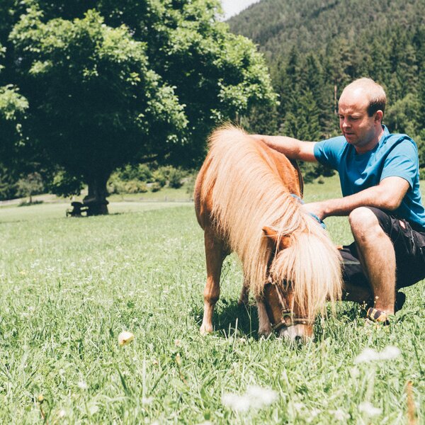 Bauer und das Pony auf der Wiese | © Urlaub am Bauernhof Kärnten / Daniel Gollner