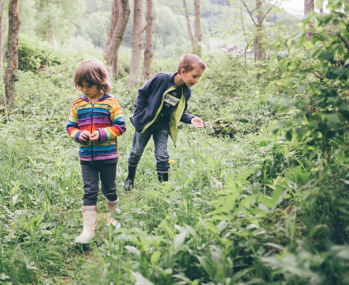 Kinder im Wald | © Urlaub am Bauernhof Kärnten/ Daniel Gollner Kinder im Wald | © Urlaub am Bauernhof Kärnten/ Daniel Gollner